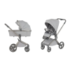 Kombinovaný kočárek ANEX Flo 2v1 - Frossy