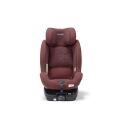 Autosedačka Recaro Salia 125 - Iron Red 