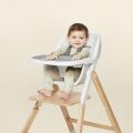ERGOBABY l EVOLVE jídelní židle 2v1