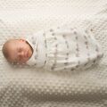 ERGOBABY Zavinovačka Swaddler Original TOG 0.5 - ELEPHANT