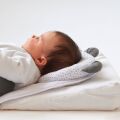 Candide Panda Pad basic new 62x40cm