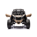 Elektrické autíčko Buggy Maverick Can-Am 24V 4x200W CA003 dálkové ovládání - RS černá 