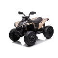 Dětská elektrická čtyřkolka Can-Am Renegade 180W | 4x4 | 12V 14Ah
