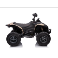 Dětská elektrická čtyřkolka Can-Am Renegade 180W | 4x4 | 12V 14Ah