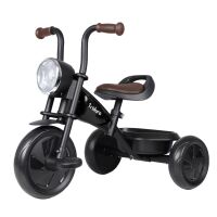 Tříkolka QPLAY Triduro, věk 2-6 let